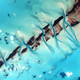 Illustration for article titled The Bahamas are a Beautiful Watercolor in Latest Photo From Space
